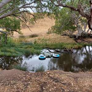The swimming hole