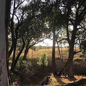 Lovely afternoon sun (and shade) at the campsite