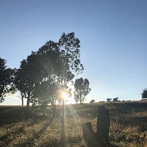 Nice views