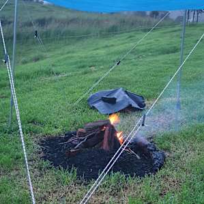 Dairy Camp - Swing View
