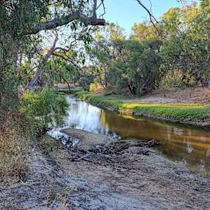Moore River Camping: Exclusive
