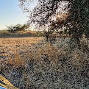 Moore River Camping: Exclusive