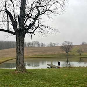 Views of woods, pond, and sunrise
