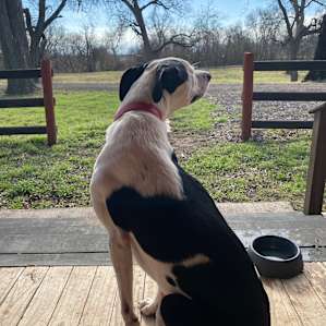 Texas Music River Ranch Campgrounds