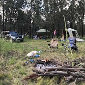 the private and sheltered site 'Pine Glades'