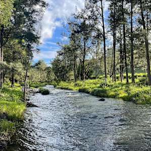 Creek Gully Campsite
