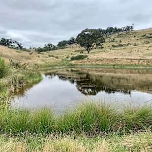 The Lodge at Tinneburra