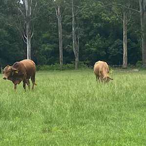 Stanmore Farmstay