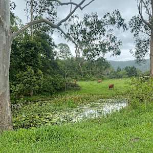 Stanmore Farmstay