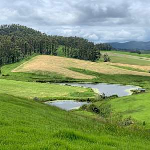 Dairy Camp - Top Hill