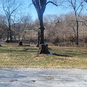 Enchanted Oaks: Small RV site #5