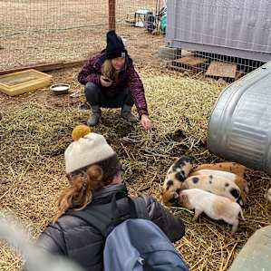 Check out the petting zoo at nearby Cuyama Oaks Ranch