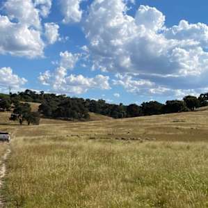 Redlands Camping (Unpowered)