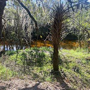 Sandy Bottom River Retreat