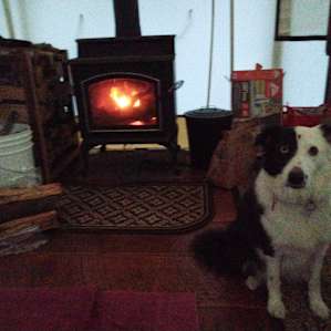 OUR NEW ADDITION: Luxury Glamping