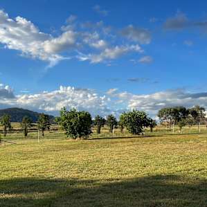Hillside Camping & Parking