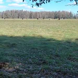 Camp Hide Away, 4 sites in Ft Meade