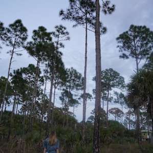 New Nassau Food Forest