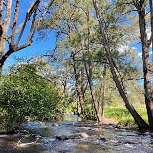 Omadale Brook Camp