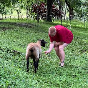 Nimbin Farm 101