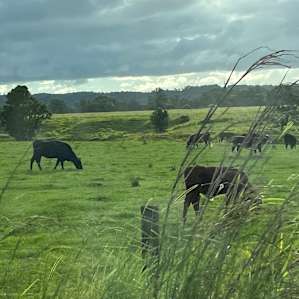 Nimbin Farm 101