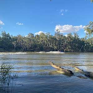 Murray River Bush Camp