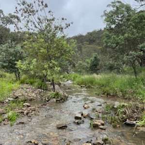Creek, River & Bush Camping (4WD)