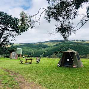 The Love Shack + extras welcome in tents/vans