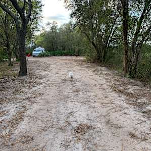 Bamboo Springs Camping