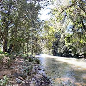 Glenmoore River Camp Chichester