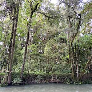 Glenmoore River Camp Chichester