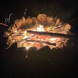 Plenty of fire wood