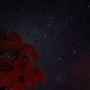 Stars were amazing! Great spot to crank out the telescope
