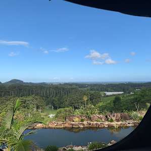 State Forest, Valley, Ocean Views