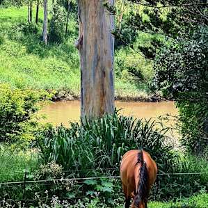 Riverfront Hobby Farmstay