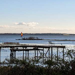 Ocala Forest Lakefront Paradise