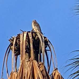 Taste of Old Florida trailer and RV camping