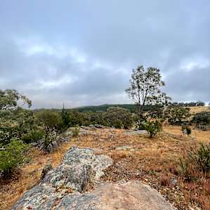 Spectacular Barossa Valley Ranges