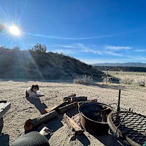 Songdog West Campsites