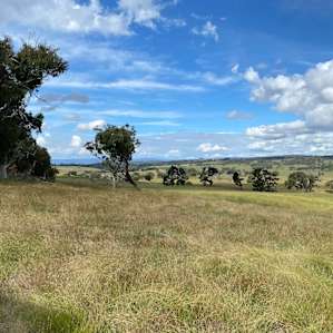 Amazona Camp