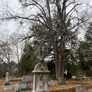 Cemetery with history into the 1800’s