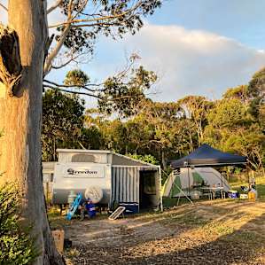 Treetop Caravan/Trailer Site