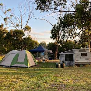 Treetop Caravan/Trailer Site