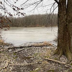 Lake and Forest Camping