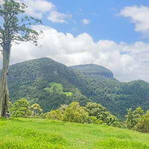 Fig Tree Campsites