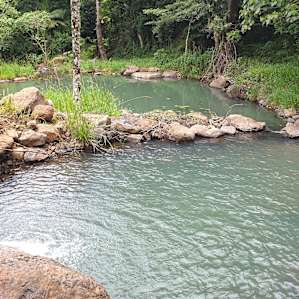 Fig Tree Campsites