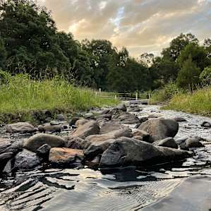 Fresh creek on property.