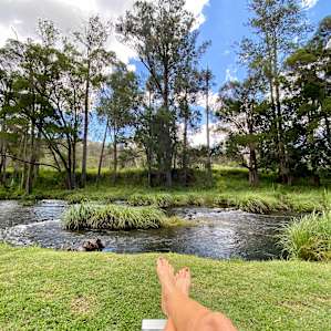 Creekside Camping