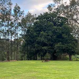 Campsite 1