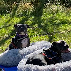 Creek, River & Bush Camping (4WD)